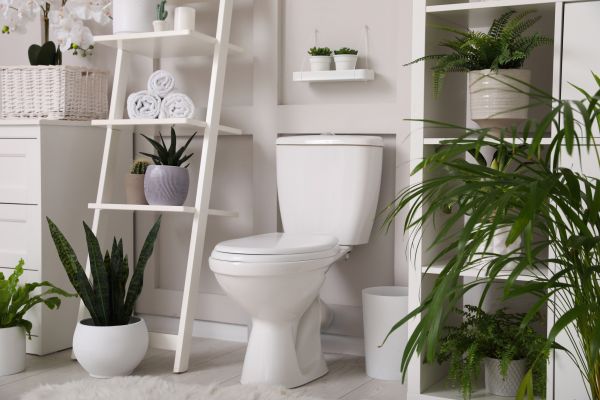 Cost of Toilet Repair in Ocean City