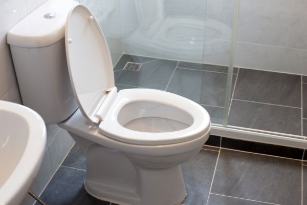 Cost of Toilet Replacement in Ocean City