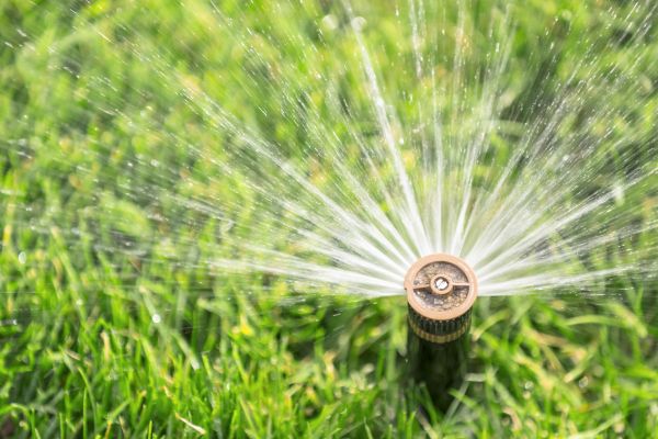 Cost of Spigot Installation in Ocean City