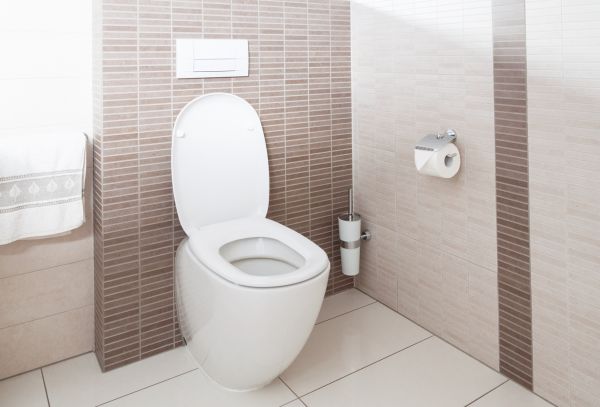 Cost of Toilet Plumbing Installation in Ocean City